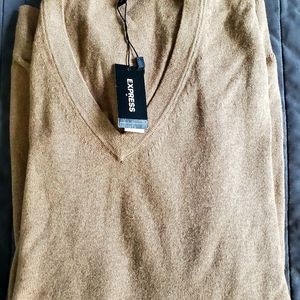 Express Men Beige V-Neck Sweater